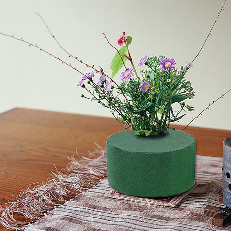 6Pcs Round Floral Foam Bricks  - Florist Flower Supply 리뷰 및 가격