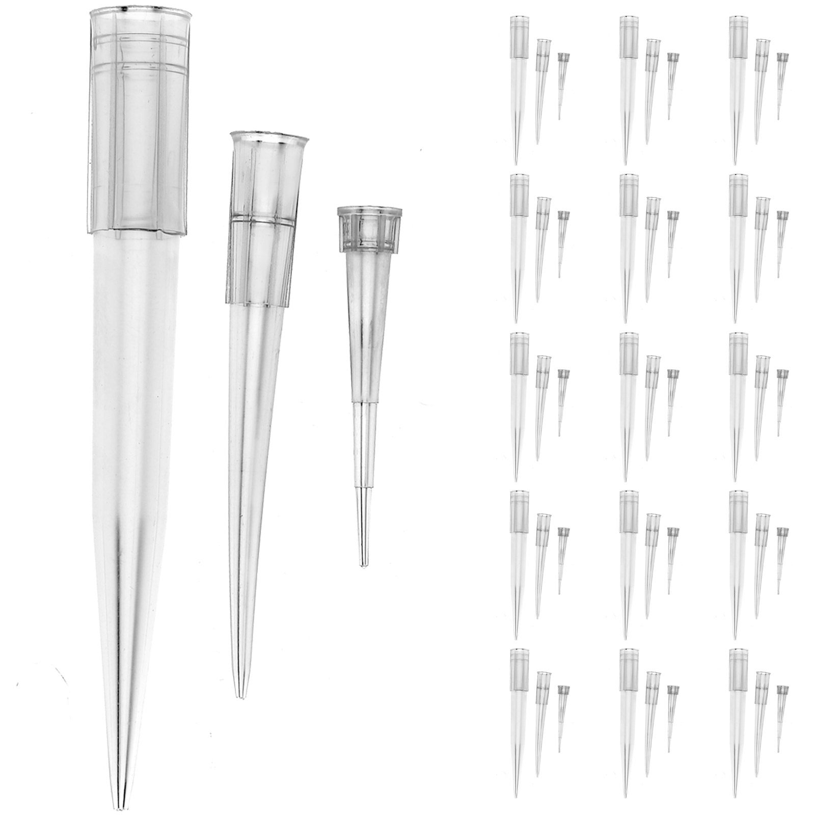 60Pcs Round Edge Smooth Floral - Florist Flower Supply 리뷰 및 가격
