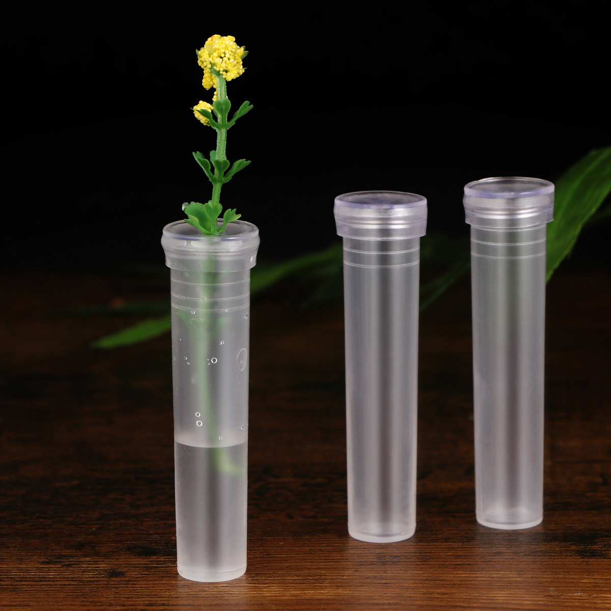 50Pcs Nutrition Flower Tubes P - Florist Flower Supply 리뷰 및 가격